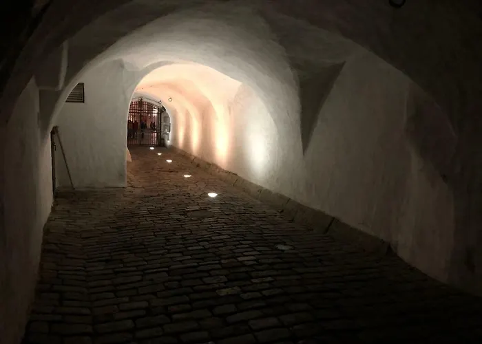 Kuninga Апартаменти Таллінн