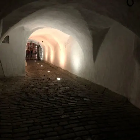 Kuninga Appartement Tallinn